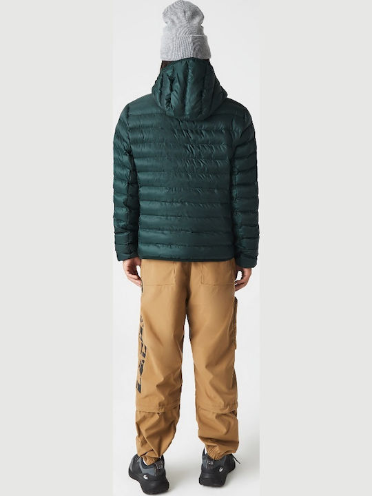 Winter Jacket Puffer Green