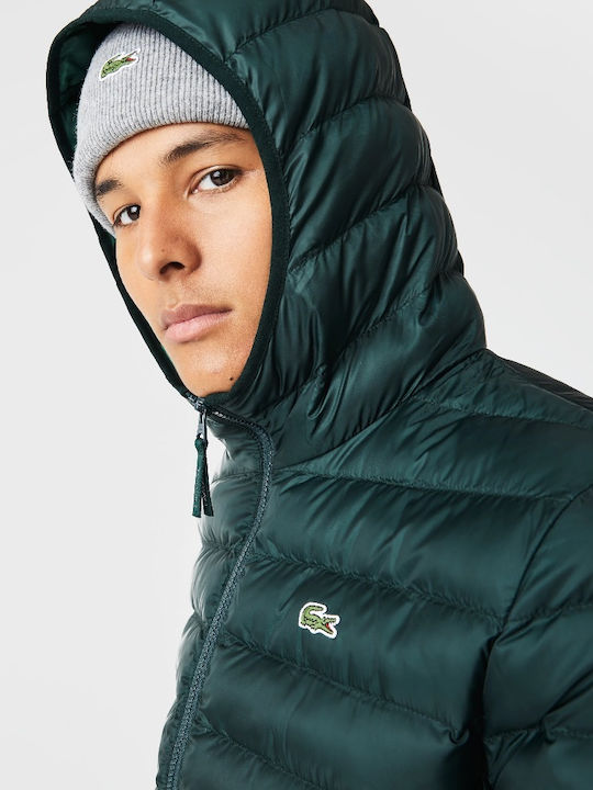 Winter Jacket Puffer Green