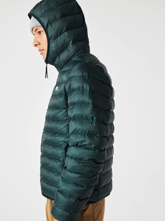 Winter Jacket Puffer Green