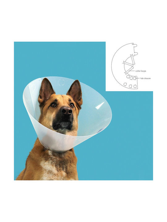 KVP Quick Fit Hundehalsband aus in Transparent Farbe 23 - 27cm S6101514