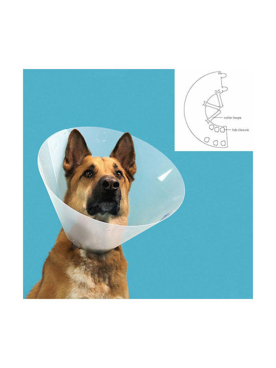 Kong Hundehalsband aus in Transparent Farbe 15 cm