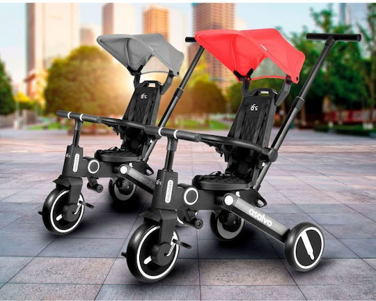 Asalvo Discovery Foldable and Convertible for 10 Months Black