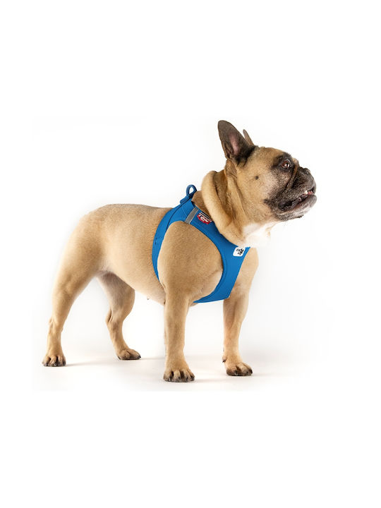 Curli Dog Harness Vest Clasp Air-Mesh Red X-Large 55-63cm PN2801