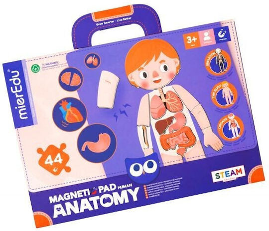 Mieredu Ανατομία STEM Образователна Игра Образователни за 3+ години Години