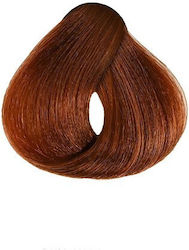 Faipa Perfecta Keratin Color Βαφή Μαλλιών Χωρίς...
