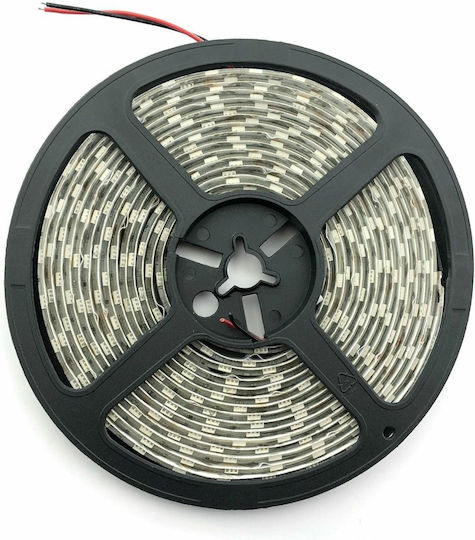 Avide Ταινία LED ABLS12V2835-60CW20-4.8W 12V Ψυχρό Λευκό Φως 5m Τύπου SMD2835