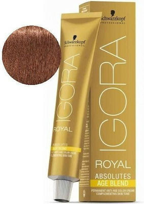 Schwarzkopf Igora Royal Absolutes Age Blend 7-560 Ξανθό Μεσαίο Χρυσό Μαρόν 60ml