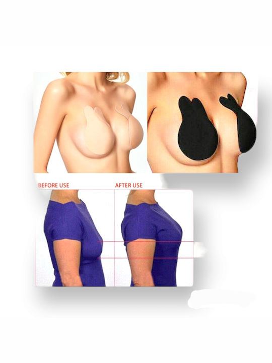 INVBRA-4