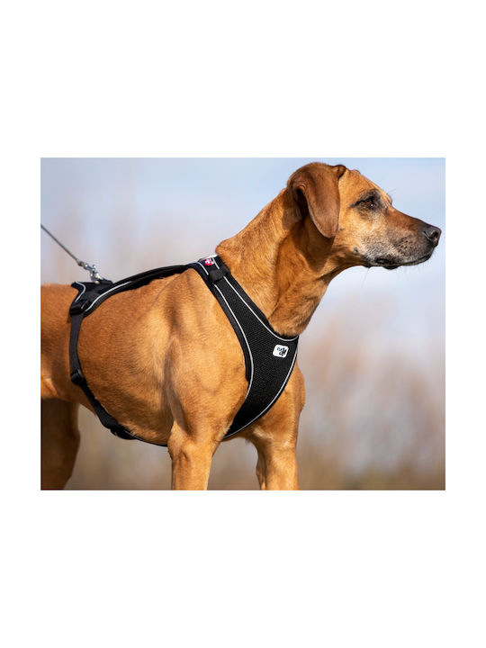 Curli Dog Harness Vest Belka Comfort Red Medium 66-70cm PN2263