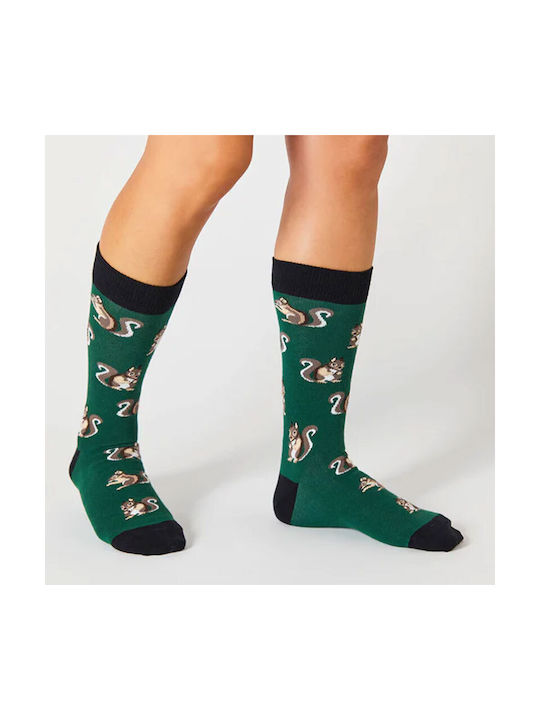 BESOCKS SOCKEN BESQUIRREL-GRÜN