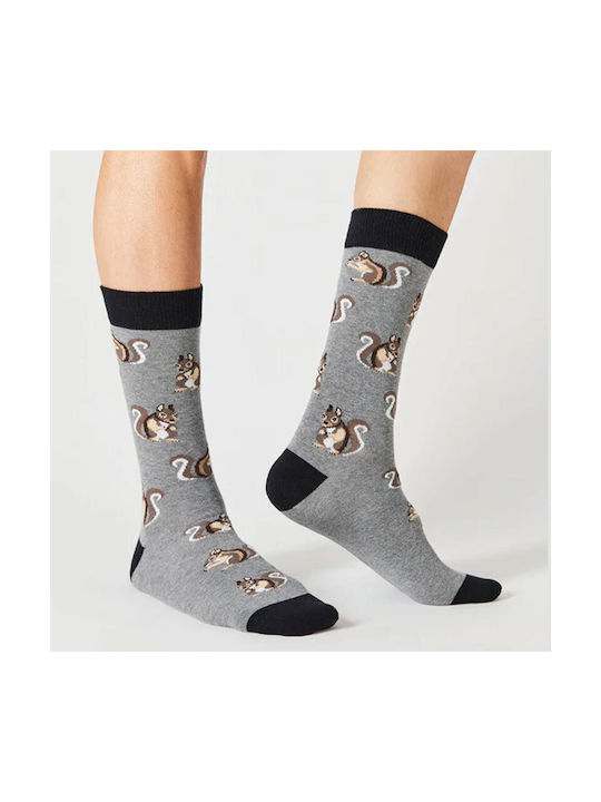 BESOCKS SOCKS BESQUIRREL-GREY