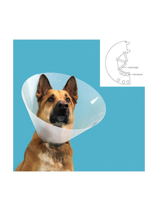 KVP Quick Fit Hundehalsband aus in Transparent Farbe 56 - 66cm S6102256