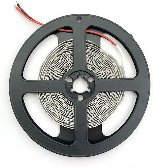 Avide Ταινία LED ABLS24V2835-120NW20 24V Φυσικό Λευκό Φως 5m Τύπου SMD2835