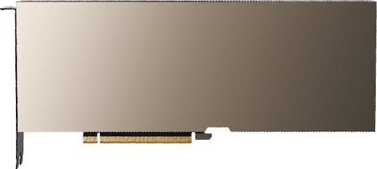 PNY (TCSA16M-PB)