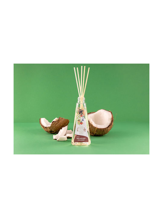 We Luv Aromas Diffuser Reed Diffuser Coconut with Fragrance Coconut 806-0022 1pcs 100ml