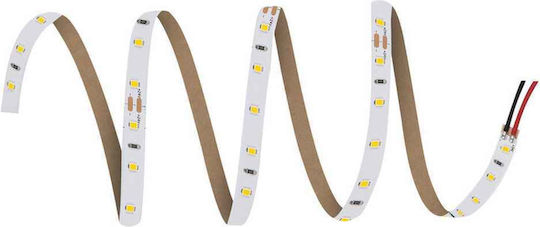Ledvance Ταινία LED 24V Φυσικό Λευκό Φως 5m Τύπου SMD2835