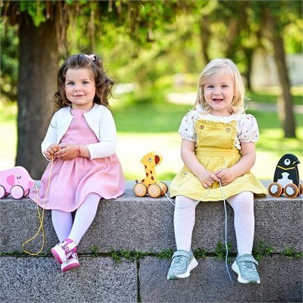 Lorelli Pull-Along Toy Penguin for 12++ Months