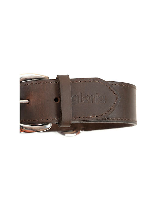 Gloriapets Dog Collar In Brown Colour 40mm x 70cm