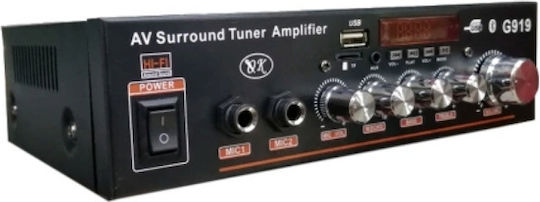 BT-919 Ολοκληρωμένος Ενισχυτής Hi-Fi Stereo 002174 Μαύρος