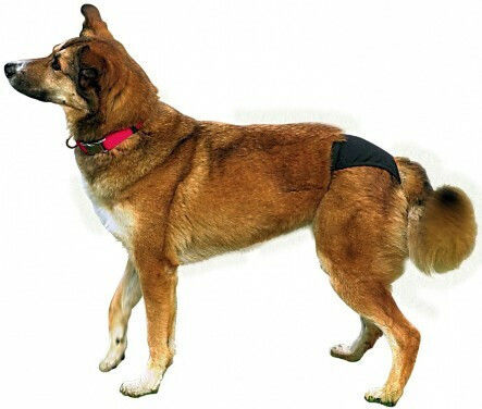 Nobby Deluxe Dog Pants Period Large 40 - 49cm