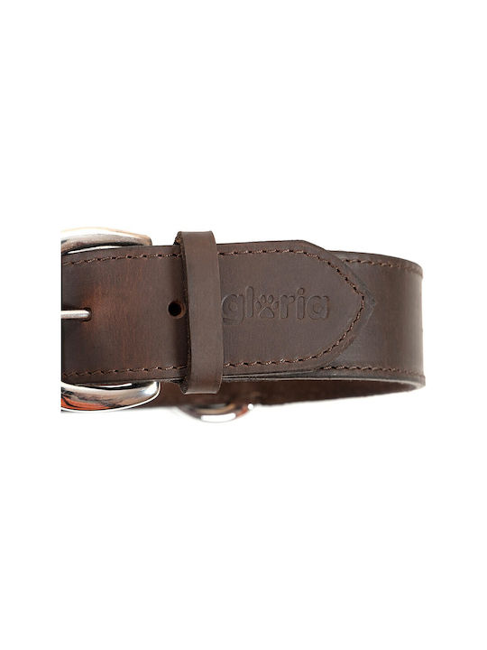Gloriapets Guler pentru câini în culoarea Maro 40mm x 65cm