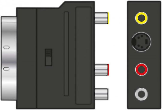 AvLink Конвертор Scart Мъжки към RCA / S-Video Женски 1 Брой 122.410UK