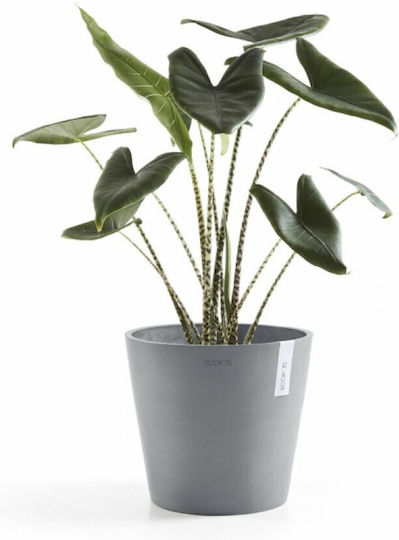 Ecopots Amsterdam Γλάστρα Πλαστική Ανθρακί 40x40x35εκ.