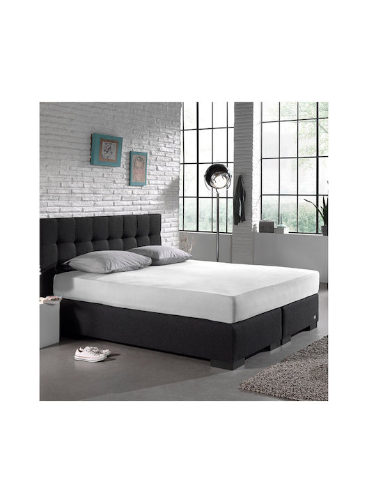 DreamHouse Jersey Σεντόνι King Size με Λάστιχο 190x200+30εκ. Λευκό