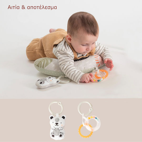 Taf Toys Ζωάκι Σετ Δραστηριοτήτων Develop & Play Kit από Ύφασμα για Νεογέννητα