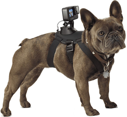 GoPro Fetch (Dog Harness) Dog Support Base for GoPro