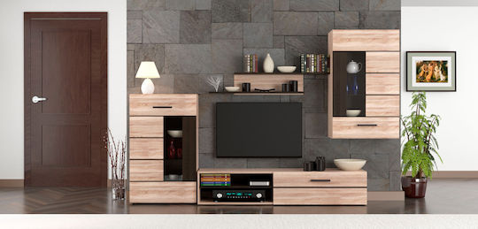 Животно помещение ТВ единица Solo Sonoma / Wenge с Витрина Д293xШ41xВ184бр