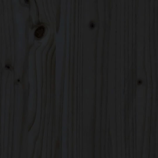 vidaXL Set 2 Blumenkästen Holz Schwarze