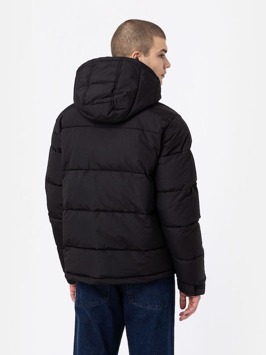Dickies Dickies
