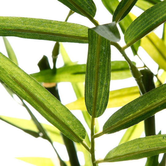 Bamboo in Pot Atmosphera Bamboo in Pot Atmosphera