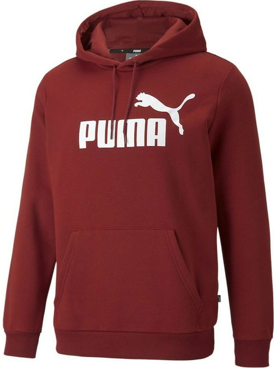 Big Logo Men's Sweatshirt with Burgundy Hood