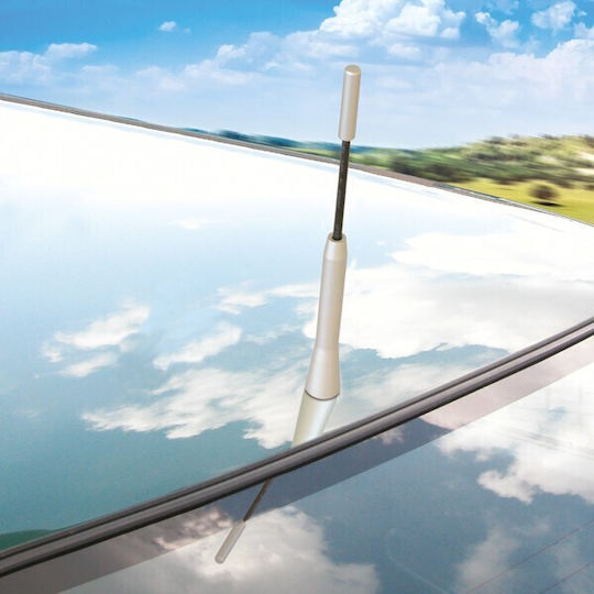 Carpoint Car Antenna Roof Threaded 17.5εκ in Silver Color