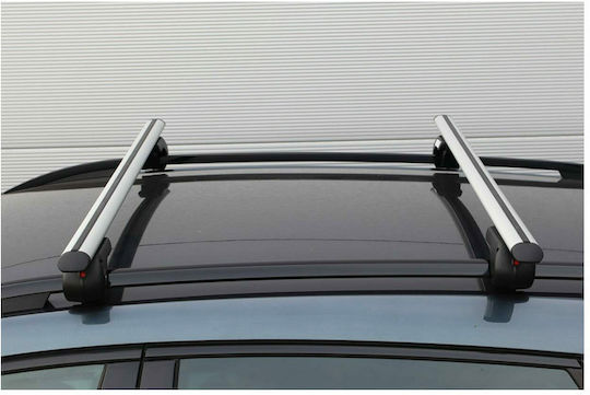 AMiO 120cm. (with Roof Rack Legs and Lock) Silver