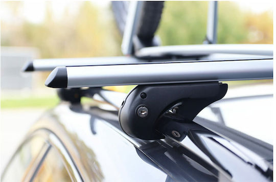 AMiO 120cm. (with Roof Rack Legs and Lock) Silver