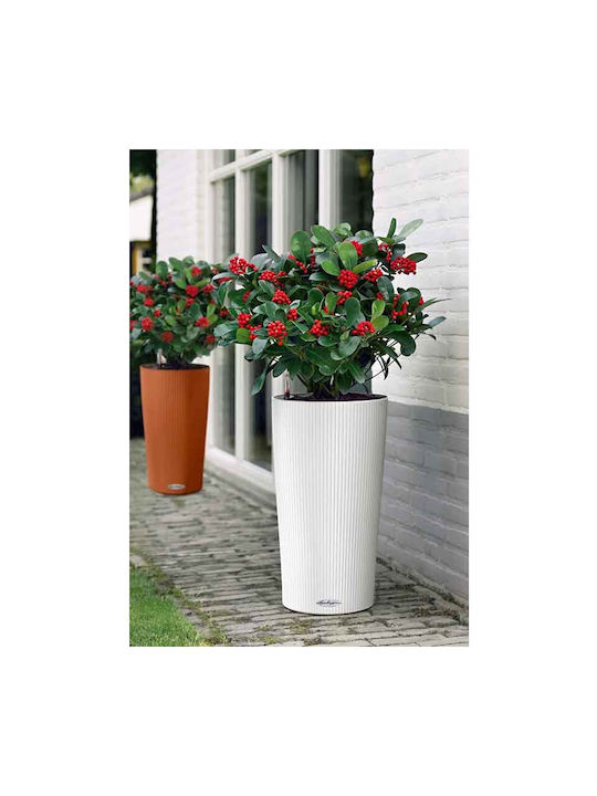 Lechuza Cilindro Self-watering Pot Plastic 32x32x56cm.