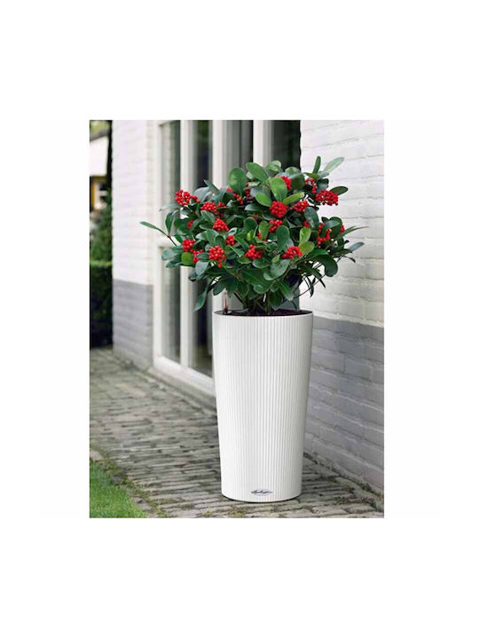 Lechuza Cilindro Self-watering Pot Plastic 32x32x56cm.