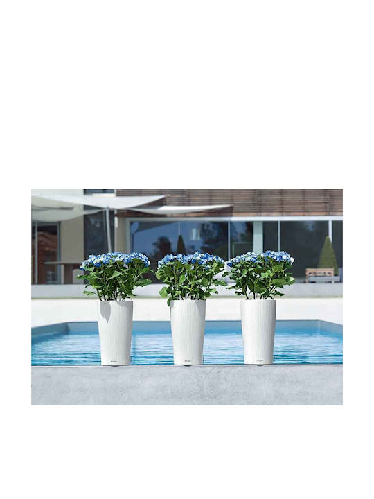Lechuza Cilindro Self-watering Pot Plastic 32x32x56cm.