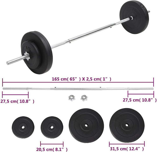 vidaXL Ίσια Μπάρα Φ25mm Σετ με Βάρη 10kg Μήκους 165cm με Βιδωτά Κολάρα