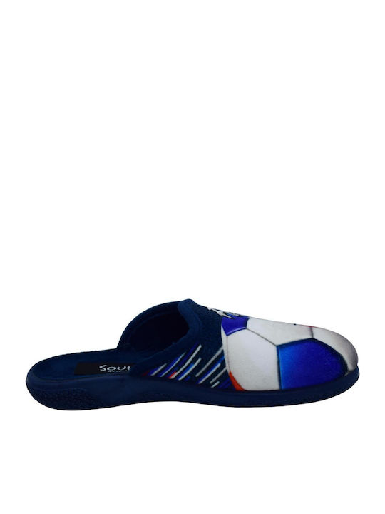 Fild Anatomic Fild Anatomic