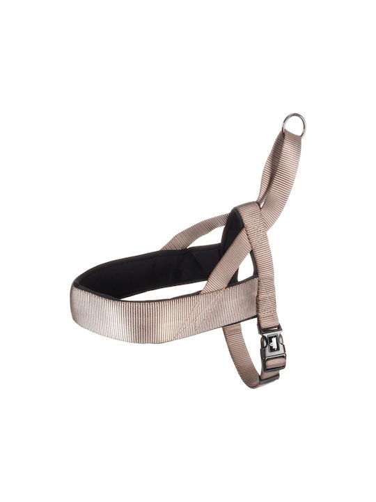 Flamingo Εκπαιδευτικό Abbi Medium 20mm x 50-65cm Flamingo Εκπαιδευτικό Abbi Medium 20mm x 50-65cm