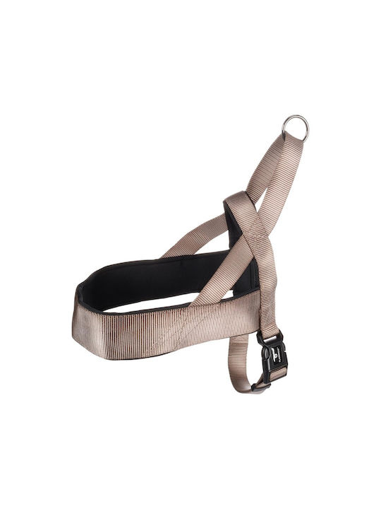Flamingo Εκπαιδευτικό Abbi X-Large 25mm x 65-80cm Flamingo Εκπαιδευτικό Abbi X-Large 25mm x 65-80cm