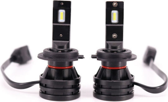 Heleco Lamps Car H1 LED 6500K Cold White 12-24V 1pcs