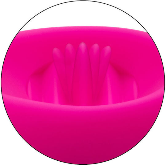 Calexotics Flicker Panty Teaser Mini Δονητής για Ζευγάρια με Απομακρυσμένο Έλεγχο Fuchsia