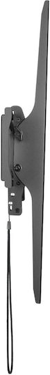 Brateck LP42-69T Βάση Τηλεόρασης Τοίχου έως 100" και 75kg