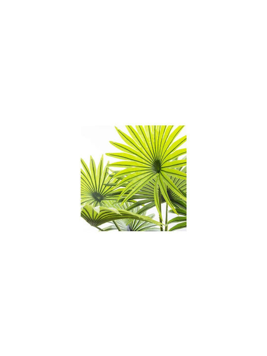 Black Outdoor Palm Tree