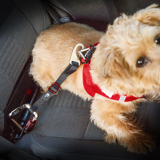 Curli Sicherheitsgurt Autozubehör für Hunde